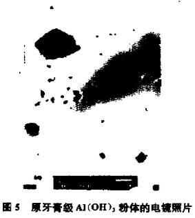 图5 原牙膏级氢氧化铝粉体的电镜照片