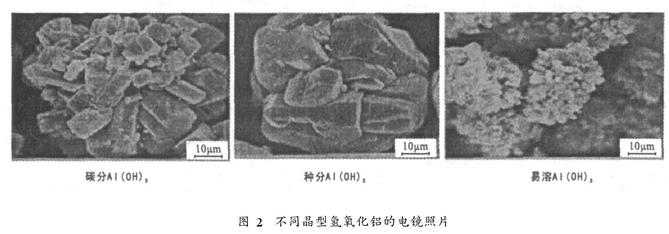 图2 不同晶型氢氧化铝的电镜照片