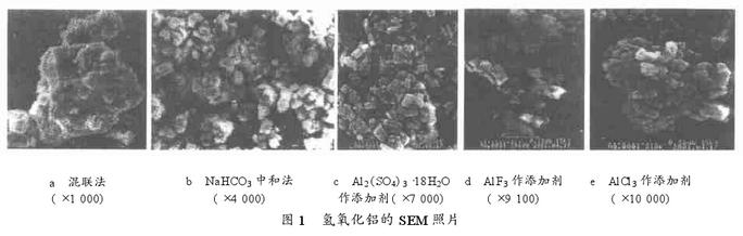 图1 氢氧化铝的SEM照片