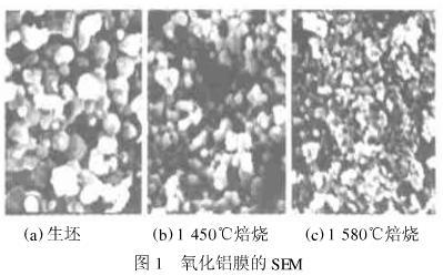 图1 氧化铝膜的SEM