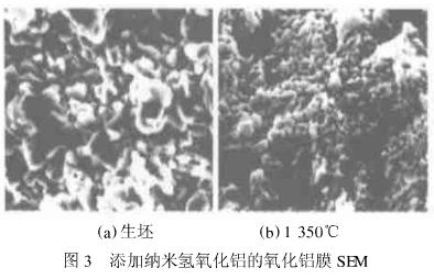 图3 添加纳米氢氧化铝的氧化铝膜SEM